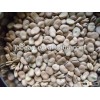 High Quality Dried BIG SIZE fava beans/broad beans/beans