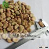 High Quality Broad Beans/ Fava Beans With Competitive Price 50-60