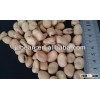 Chinese broad bean bigger size