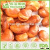 2016 HACCP certificated Salted Broad Bean