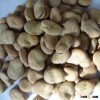 2015 high yeild best quality for Chinese Dry Fava Beans
