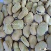dried broad beans natural fava bean price