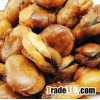 top quality Fried broad beans snack / fried and roasted broad beans price