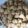 dried broad beans dry bean seed