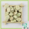 Bulk Dry Broad Beans, Broad Beans For Sale