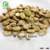 Broad beans Newest crop top quality