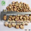 2015 crop Qinhai Broad beans top quality