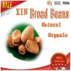 New Crop Dried Broad Beans supplier, Fava Beans Whole agricultural health food 2015 new cropped Best
