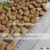 Dry Canned Broad Beans Fava Beans 40-50