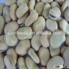 dried broad beans high quality dry frozen broad bean