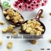 Peeled Chinese broad beans fava beans