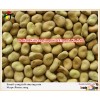 Small size dry broad beans/fava beans