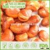 BRC certified fried salted broad beans