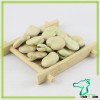 New Crop Wholesale Broad Beans