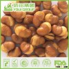 2015 popular salted belted favas bean, Youi/OEM