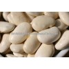 High Quality Butter Beans ready for Export