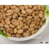 2013 New crop chinese broad bean sample for free