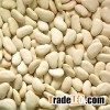 Super Quality Butter Beans