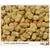 Raw broad beans Chinese 2015
