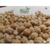 INDIAN CHICKPEAS