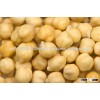 Kabuli and Desy Chickpea