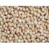 Quality 9mm Chickpeas