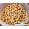 Premium Quality Chickpeas