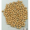 NEW CROP CHICK PEAS