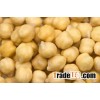 chickpeas suppliers,chick pea exporters