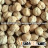 indian chick peas