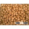 Turkish Chickpeas