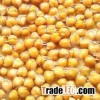 Canned Chickpeas