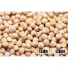 Top Quality Chickpeas