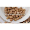 kabuli chickpeas