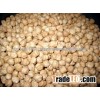 Chickpea, 7mm Chickpea, 8mm Chickpea, 9mm Chickpea,