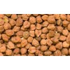 Premium Quality Desi Chickpeas