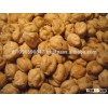 Chickpeas,Garbanzo,Channa white