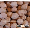 Chickpeas for Algeria, Turkey & Iran