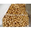 9 mm Chickpeas With High Quality With Free sample