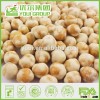 Hot Sale HACCP, ISO, HALAL, IFS, BRC certificated High Protein Healthy Snacks Wasabi Coated Chickpea