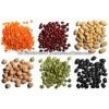 new stock Kabuli Chickpeas ready for export