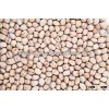 Export Quality 11mm Chick Peas