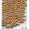 chickpea