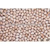 Fresh Chickpeas With Reasonable Price