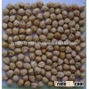 Lower Price BEST QUALITY chickpeas