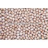 rich quality 8mm kabuli chick peas exporter