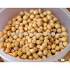 High quality chickpea