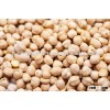 8mm Kabuli Chickpeas with Free Sample available at affordable prices