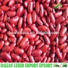 2015 Crop Best Quality Dark Red Kidney Beans Reasonable Price