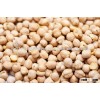 White Chickpeas for sale